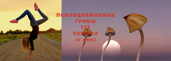 бошки Новокубанск