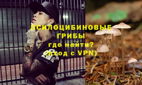 ГАЛЛЮЦИНОГЕННЫЕ ГРИБЫ Новодвинск
