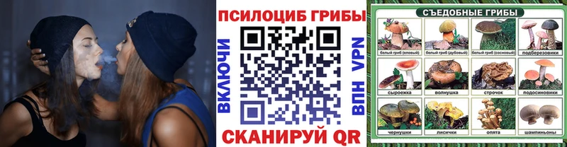Галлюциногенные грибы GOLDEN TEACHER  Электроугли 